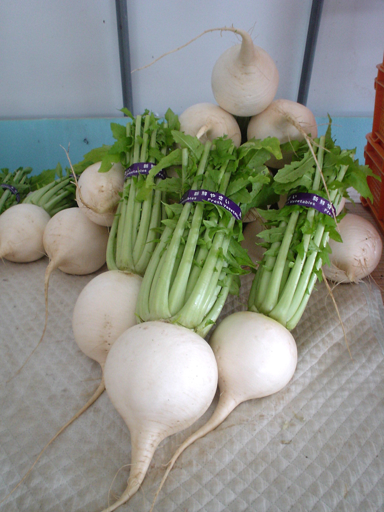 聖護院大根の収穫後の写真