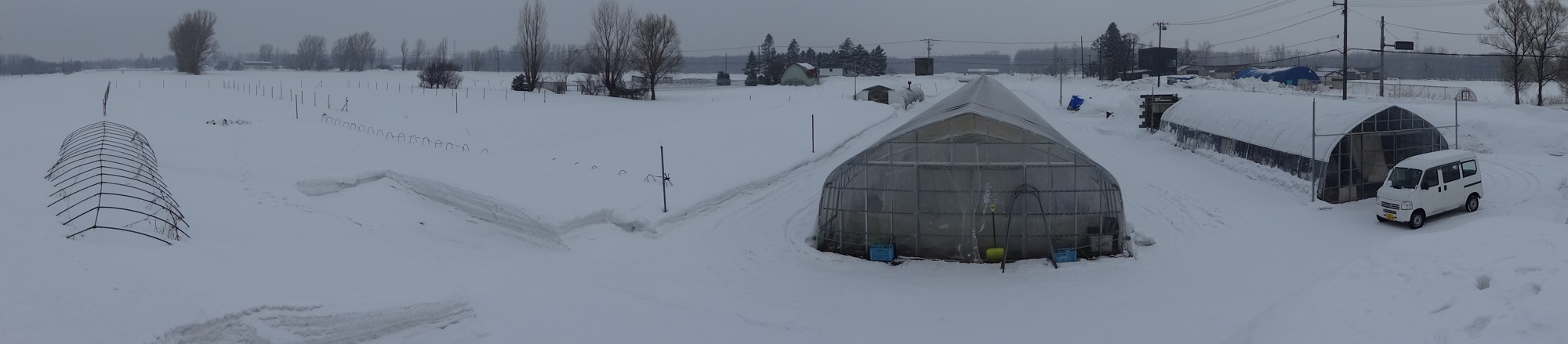 圃場の様子写真