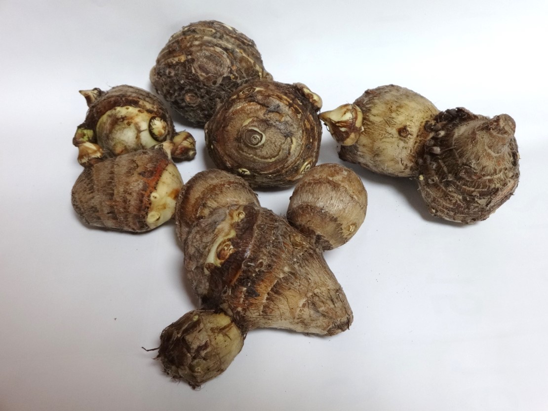 さといもの写真