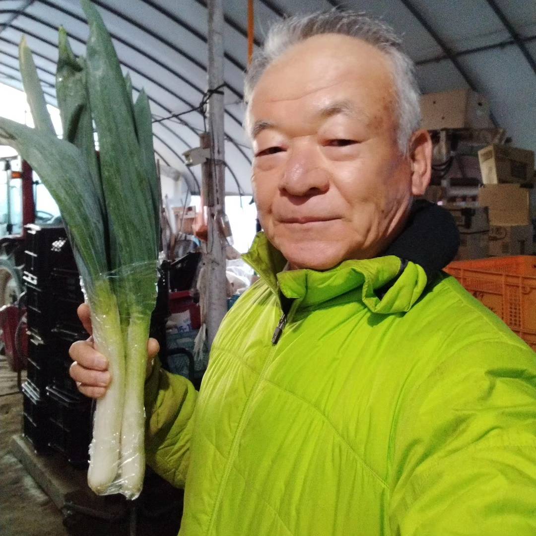 収穫した下仁田ネギの写真